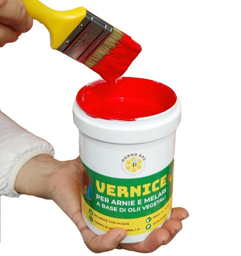 Mondo ape vernice ecologica - mondo,