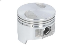 Pistone PARSUN F8-05020101