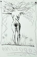 Aldo Mondino ANILODOC