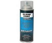 802878Q53 QUICKSILVER Clear