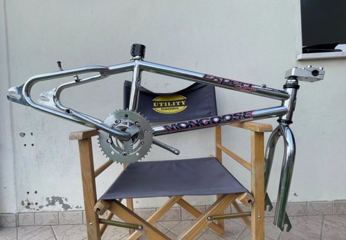 Mongoose expert - mongoose, 95’
