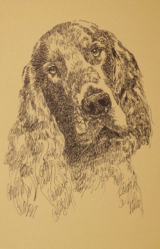 Gordon setter dog art - setter, print