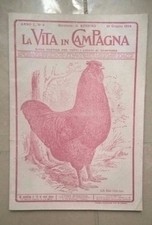 LA VITA IN CAMPAGNA RIVISTA AGRICOLTURA ALLEVAMENTO 15 GIUGNO 1924 BOTANICA