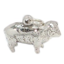Ciondolo in argento sterling