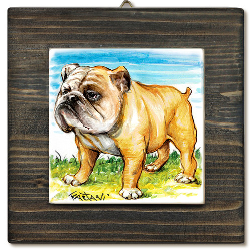 Bulldog inglese quadro - bulldog, con