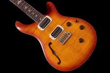 Paul Reed Smith PRS SE Custom