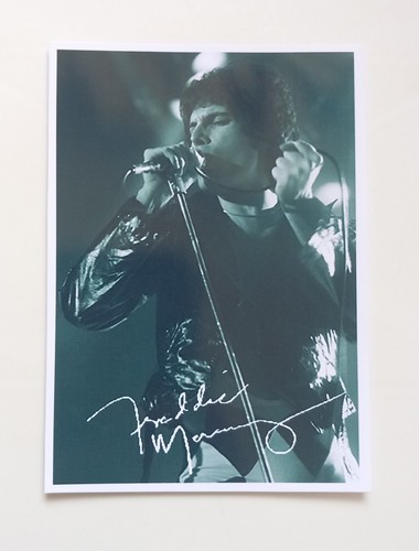 Foto queen freddie - foto,