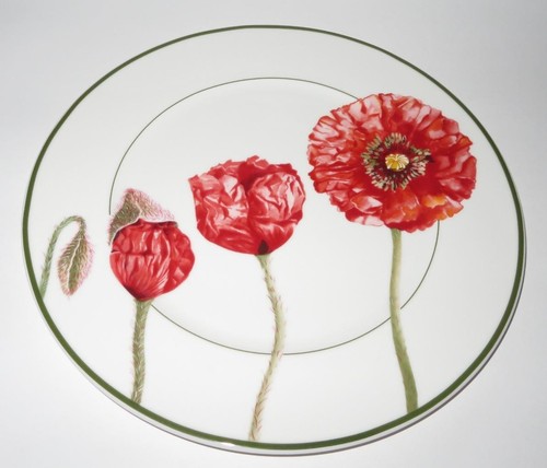 Villeroy boch flora poppy - boch,