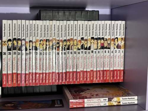 Perfect girl evolution manga - perfect,
