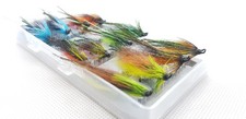 x12 Volpe Artica Salmone