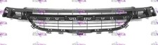 GRIGLIA PARAURTI ANTERIORE