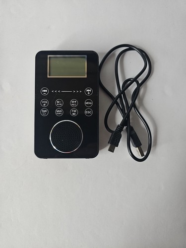 Degen de1131 radio - de1131,