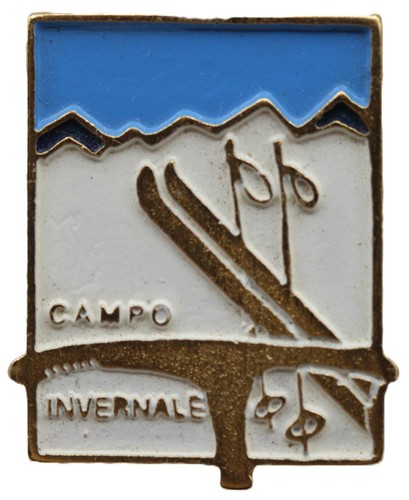 Distintivo alpini winter - winter, campo