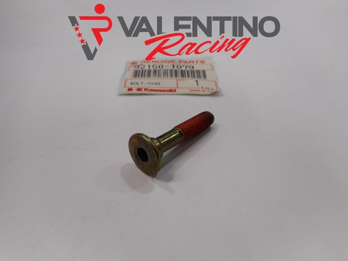 Vite brucola x - 8,
