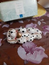 Cane Todo's Thun Con Scatola