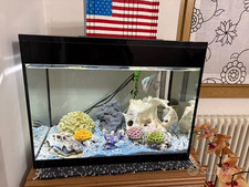 Askoll Pure kit L LED - kit acquario cm 56x36x43,5h 68 litri con illuminazione L