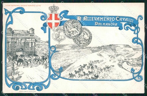 Militari palmanova allevamento - militari,
