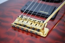 Chitarra elettrica Fernandes