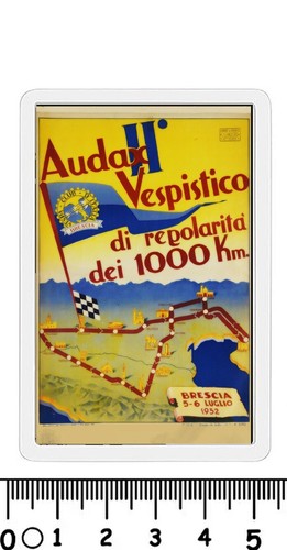 Recente calamita audax - recente,