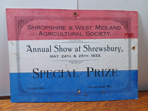 Insegna premio speciale 1933 - premio,