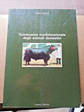 ANGELO MEREGALLI - Conoscenza