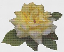 Punto Croce Motivo Da