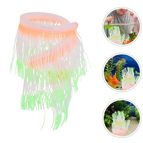 Piante decorative per acquario