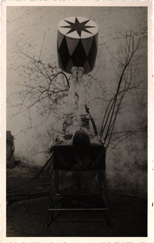 Circo kiyoto artista - circo,, kiyoto,