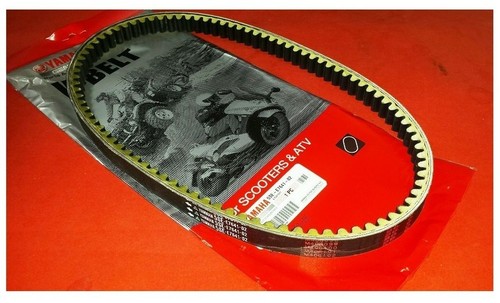 Cinghia trasmissione vbelt - trasmissione,