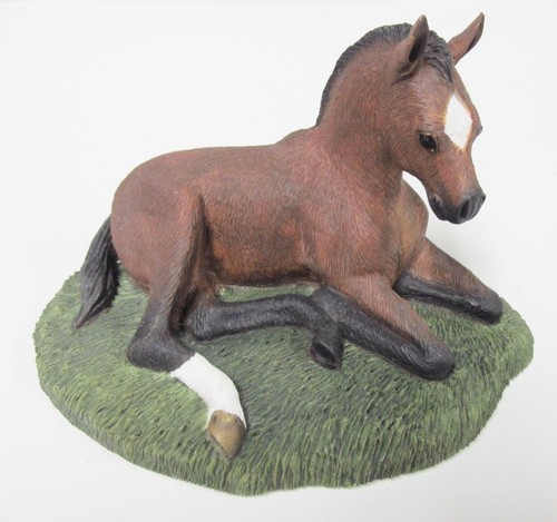 Quarter horse puledro - quarter,
