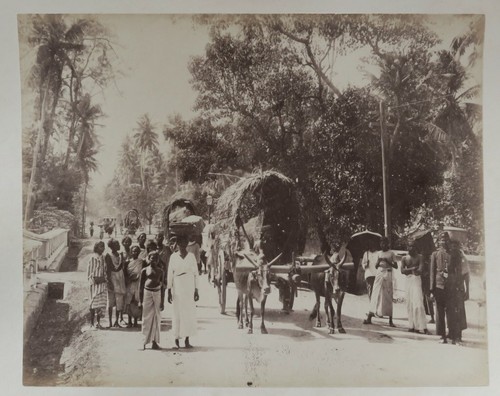 Foto india ceylon - foto, c.1880