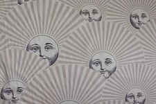 Due scampoli di tessuto