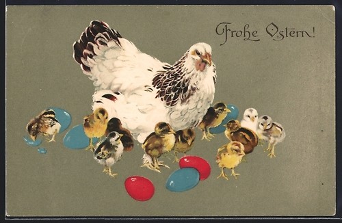 Cartolina gallina con - , pulcini