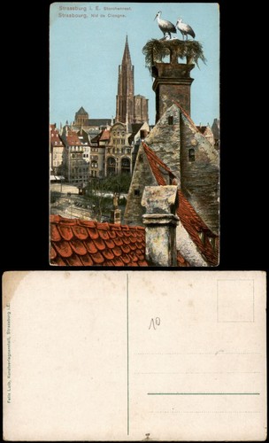 Cpa strasburgo - strasburgo, nido