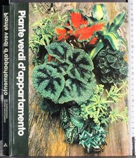 PIANTE VERDI D'APPARTAMENTO