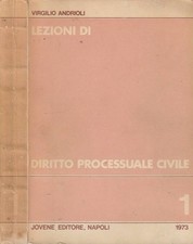 Lezioni di diritto processuale