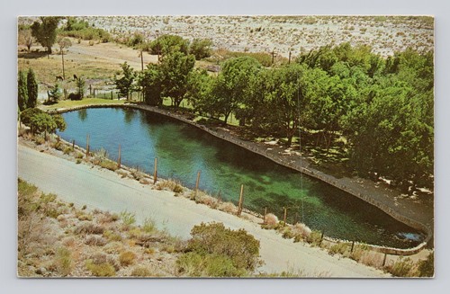 Cartolina stagno pesca trota - stagno,