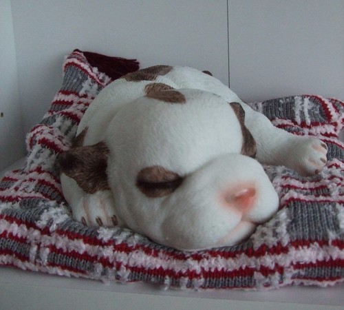 Bulldog puppy cushion - puppy, on