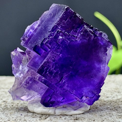 39g viola naturale code - naturale,, qr
