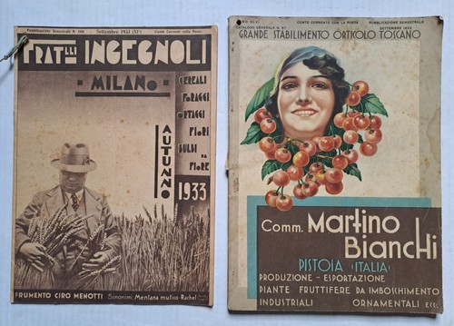 Fratelli ingegnoli martino - ingegnoli,