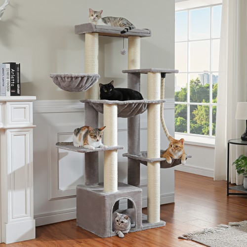 Pawz road maine coon albero - road,