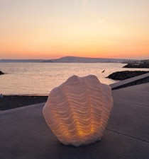 Lampada Conchiglia Tridacna