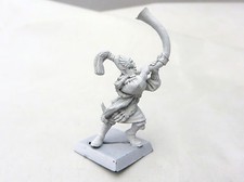 Warhammer Alti Elfi Guerriero