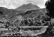 Cartolina Limone Piemonte dintorni contadina cavallo carretto 1961