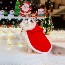 Costume gatto babbo natale - babbo,