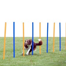 Dog Agility Slalom Course - 12