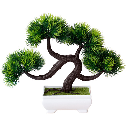 Bonsai seta quattro sfere - bonsai,