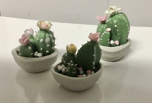 Set cactus porcellana - set,
