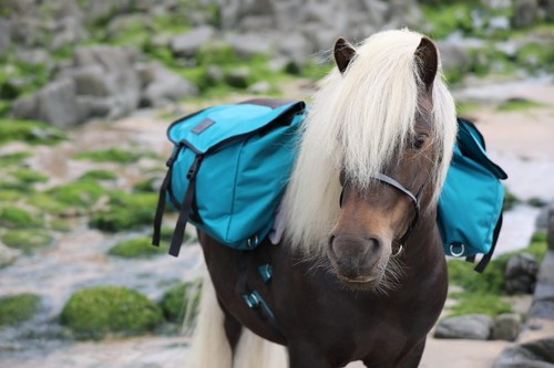 Sella pony pack - pony,