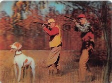 Cartolina lenticolare 3D